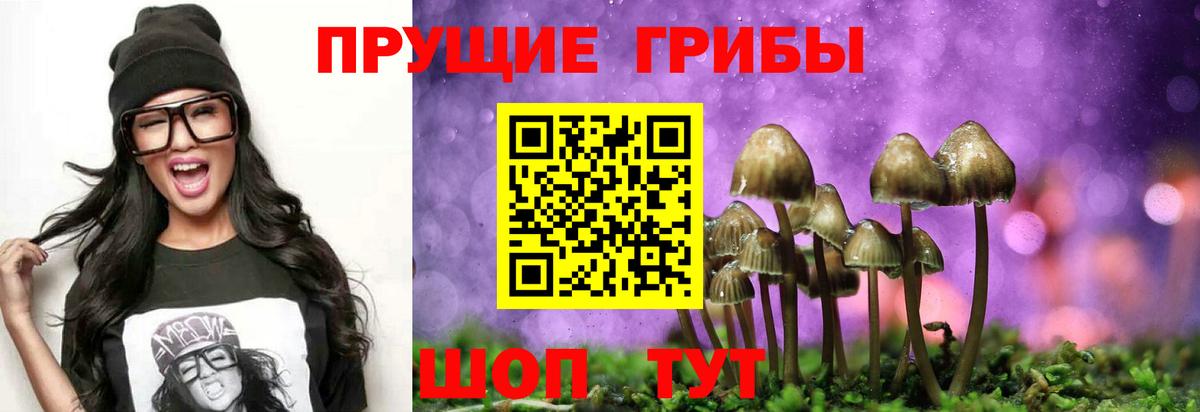 Галлюциногенные грибы мицелий  Вход с VPN  купить наркотик  Краснотурьинск 
